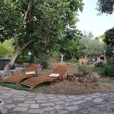 Apartments Branimir Zadar Ngoại thất bức ảnh