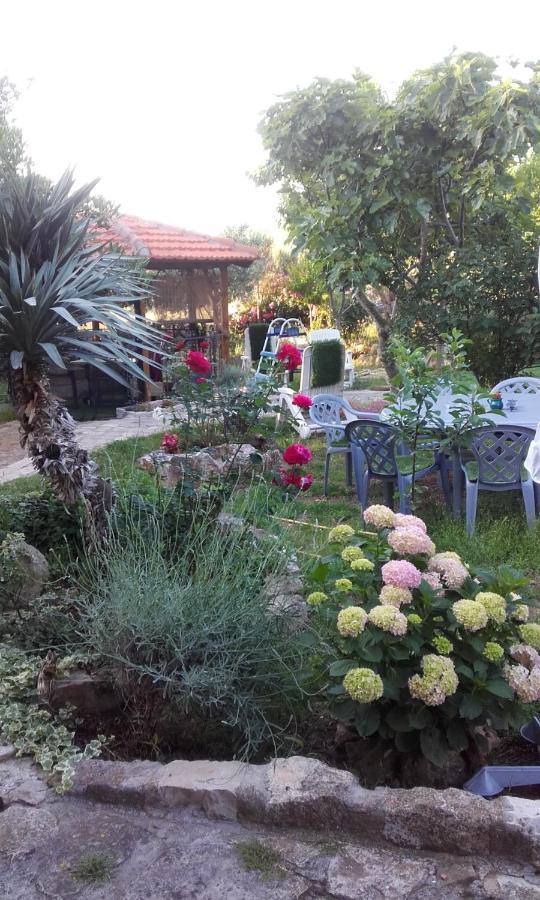 Apartments Branimir Zadar Ngoại thất bức ảnh