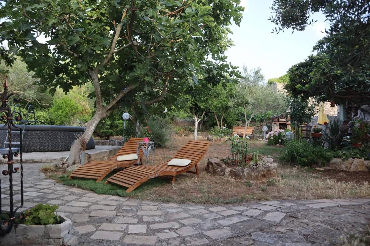 Apartments Branimir Zadar Ngoại thất bức ảnh