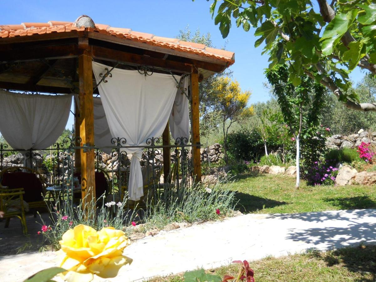 Apartments Branimir Zadar Ngoại thất bức ảnh
