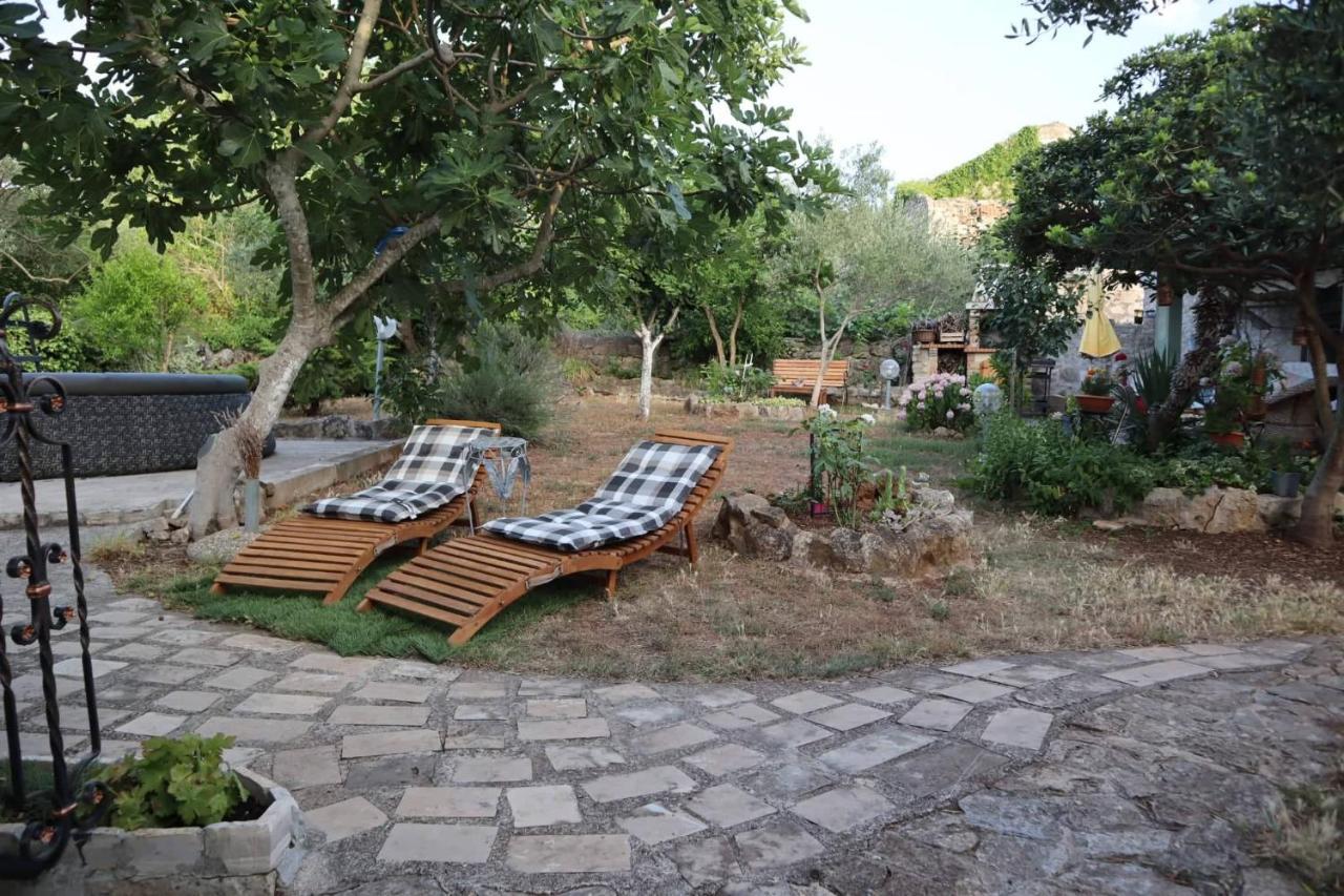 Apartments Branimir Zadar Ngoại thất bức ảnh