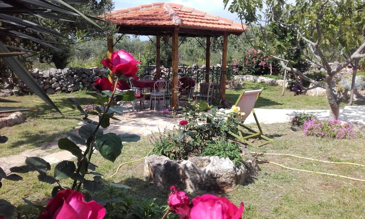 Apartments Branimir Zadar Ngoại thất bức ảnh