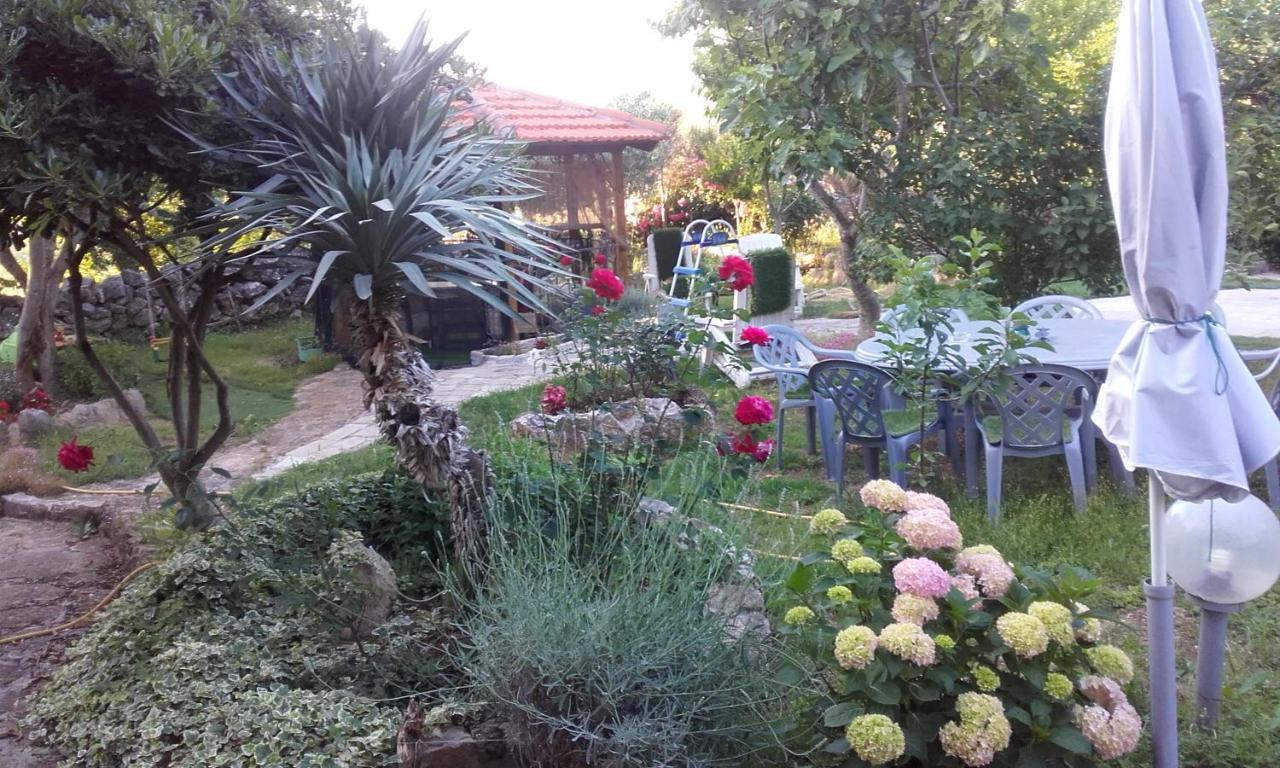 Apartments Branimir Zadar Ngoại thất bức ảnh