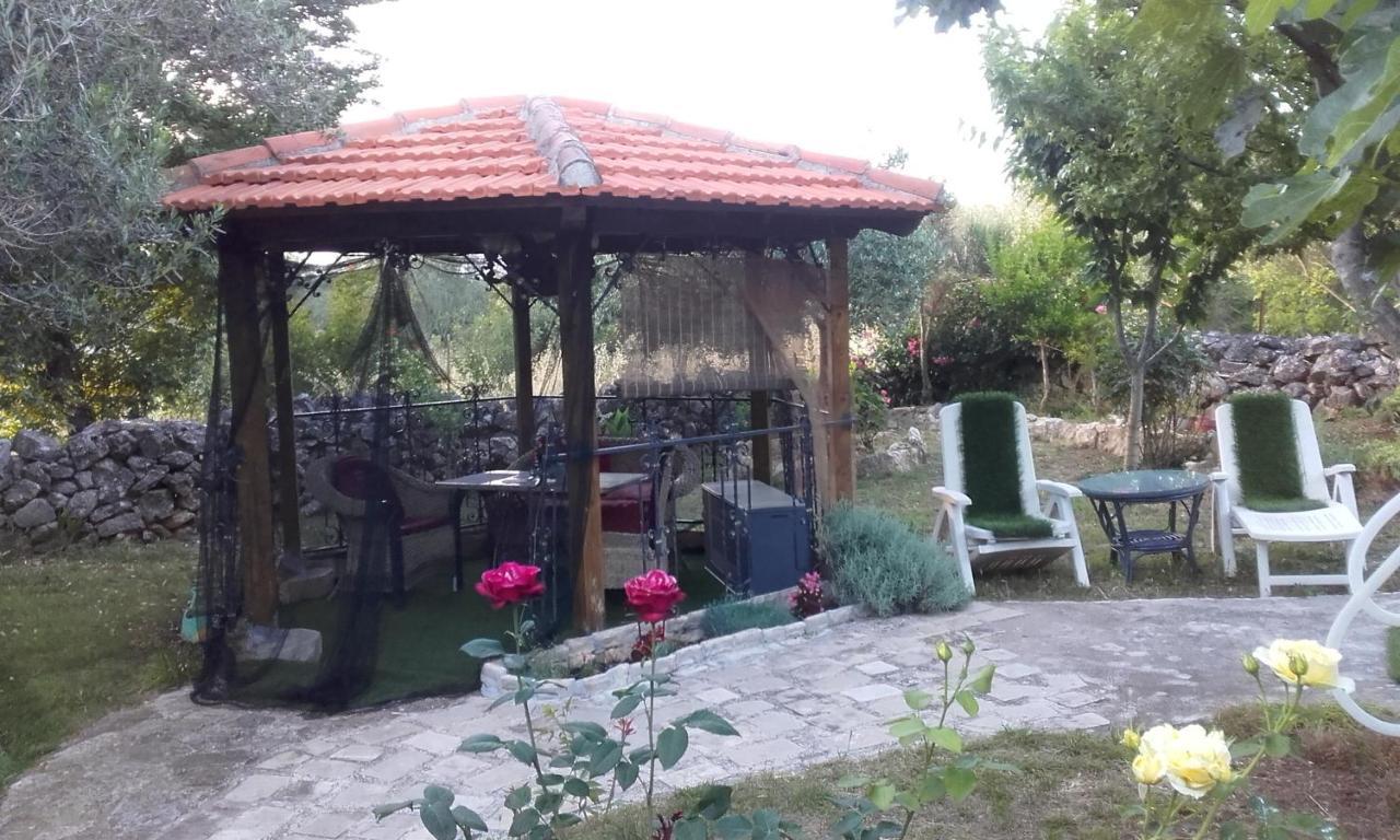Apartments Branimir Zadar Ngoại thất bức ảnh