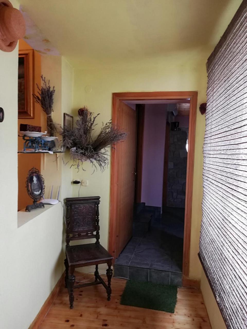 Apartments Branimir Zadar Ngoại thất bức ảnh
